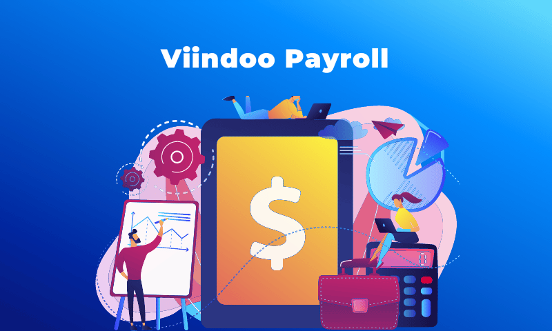 hệ thống quản lý nhân sự tiền lương Viindoo Payroll
